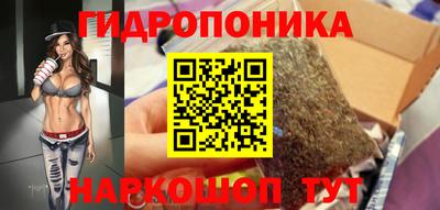 гидра Славгород