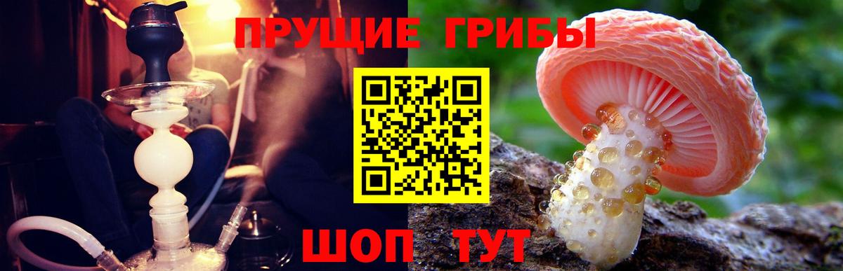 Псилоцибиновые грибы ЛСД  Вход с VPN  магазин продажи наркотиков  Нижнеудинск 